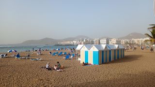 GC-Paseo Las Canteras (Las Palmas) 2026-134.jpg